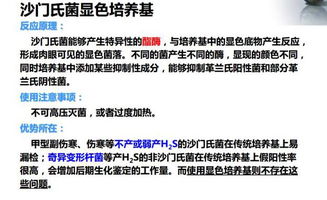 沙門氏菌的食品微生物學(xué)檢驗(yàn)方法解析與佳發(fā)微招辦應(yīng)用探討